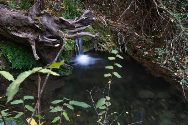 高山溪流中的瀑布 茂密的植被 — 图库照片