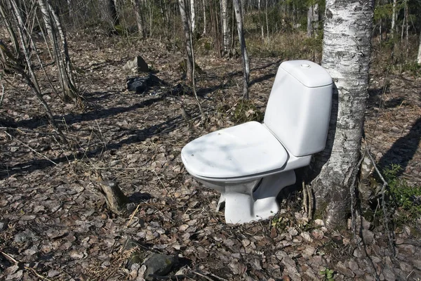 Toilet Seat Next Tree Forest — Stock Fotó