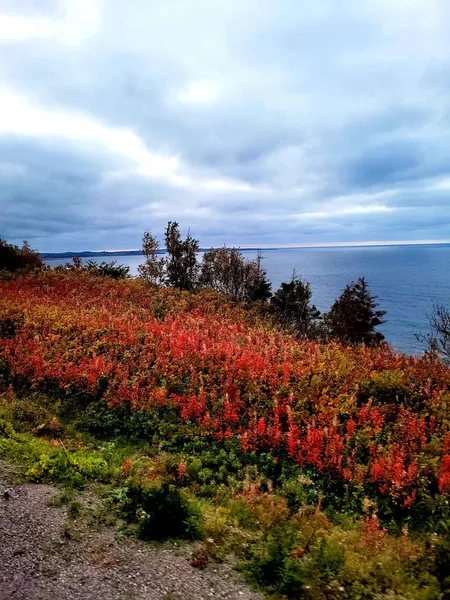 Cabot Trail Dikey Görüntüsü Uçurum Boyunca Parlak Kırmızı Sonbahar Renkleri — Stok fotoğraf