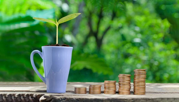 Una Taza Con Una Planta Monedas Apiladas Concepto Crecimiento Financiero —  Fotos de Stock