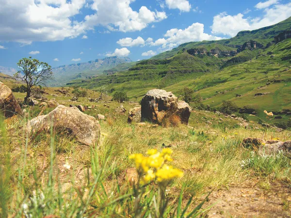 山西峠の息をのむような緑の風景です 南アフリカで最も高い峠である 世界で3番目に急な峠道 レソトへの接続 — ストック写真