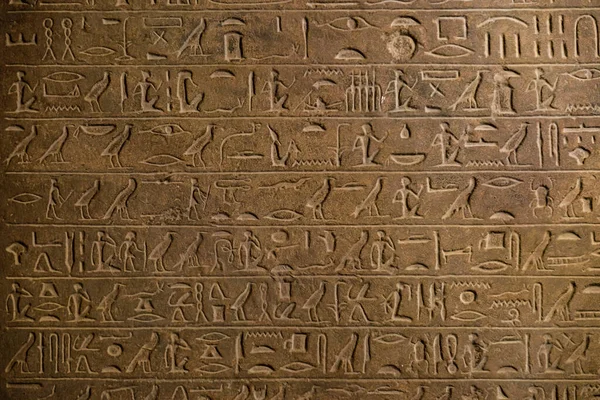 Ένα Κοντινό Πλάνο Της Αιγυπτιακής Γλώσσας Ένα Τοίχο Στο Βερολίνο — Φωτογραφία Αρχείου