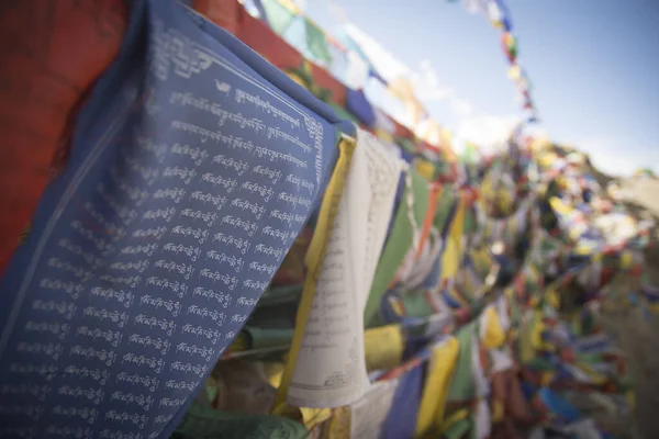 Bandiere Tibetane Appese Tempio Buddista Ladakh India — Foto Stock