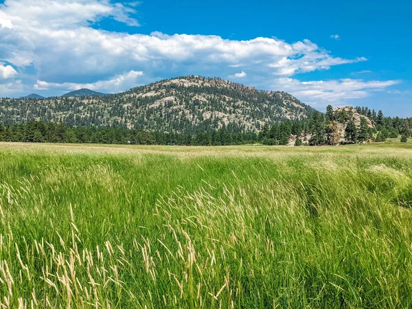 Una Vista Naturale Vasto Verde Montagna Evergreen Colorado Negli Stati — Foto Stock