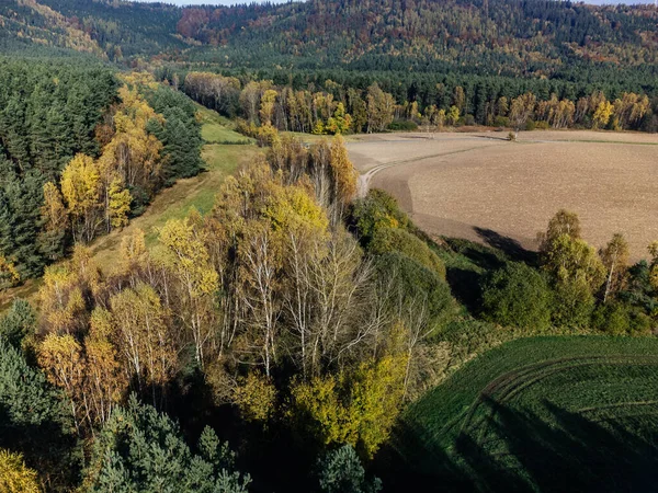 德国巴伐利亚科堡森林景观的鸟瞰 — 图库照片