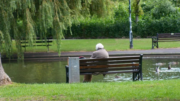 An elderly person sitting on a bench by the lake in a park surrounded by trees