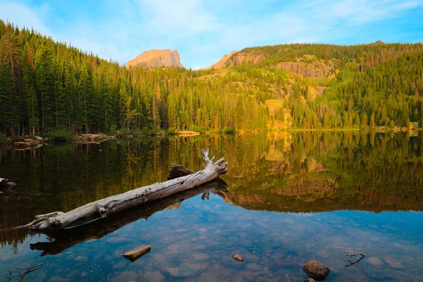 Calm Lake Reflection Trees Water Rocky Mountain National Park Colorado — стокове фото