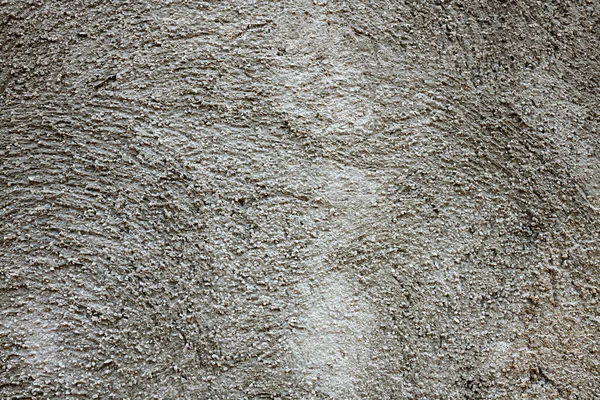 Background Rough Grey Colored Cement Wall Texture Horizontal Photo Cement — kuvapankkivalokuva