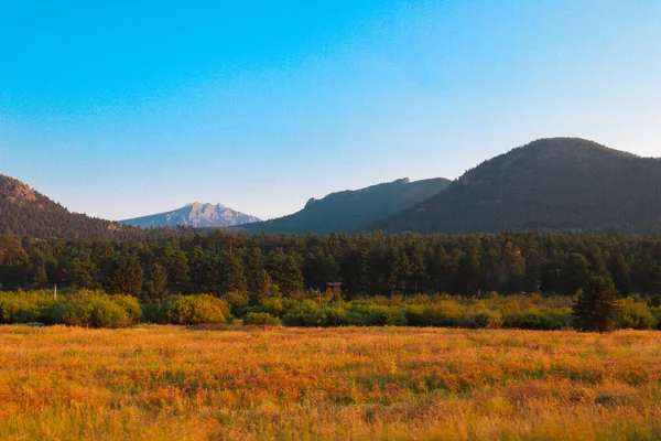 Abd Deki Estes Park Colorado Daki Kurumuş Çimenlerin Ağaçların Dağ — Stok fotoğraf