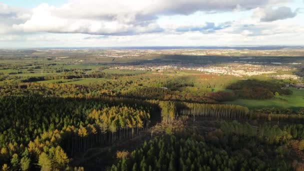 Letecký Pohled Krásnou Podzimní Krajinu Přírodě — Stock video