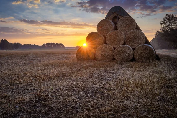 Een Prachtig Shot Van Stro Balen Een Veld Bij Zonsopgang — Stockfoto