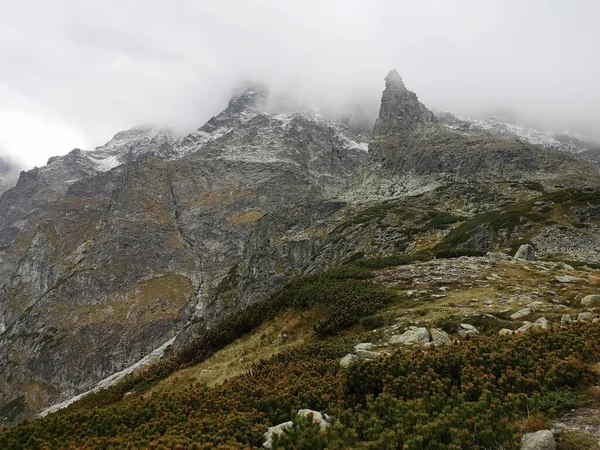 Una Splendida Vista Del Baccello Czarny Staw Rysami Lago Nero — Foto Stock