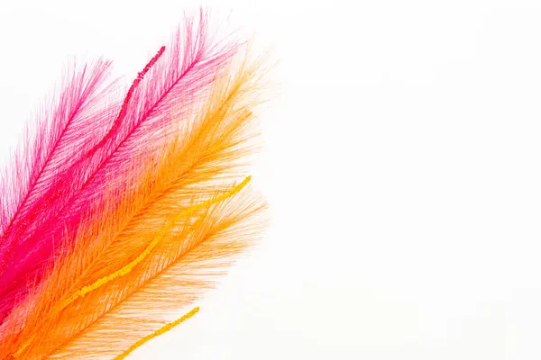 View Yellow Pink Feathers White Background Space Your Text — Stock Photo, Image