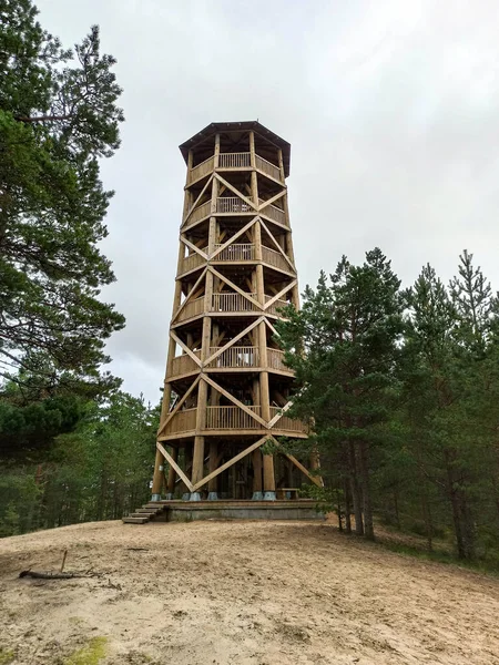 Svislý Záběr Stavbu Uprostřed Lesa — Stock fotografie