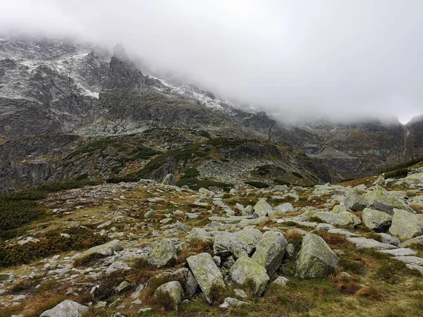 Beautiful View Czarny Staw Pod Rysami Black Lake Mount Rysy — Stock Photo, Image