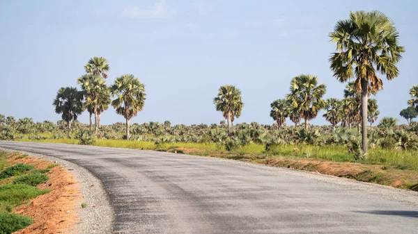 Ein Panoramischer Blick Die Landschaft Des Murchison Falls National Park — Stockfoto