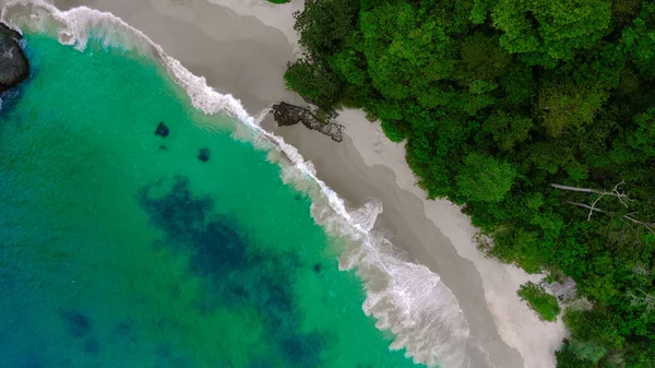 Вид Воздуха Пляж Песок Деревья — стоковое фото