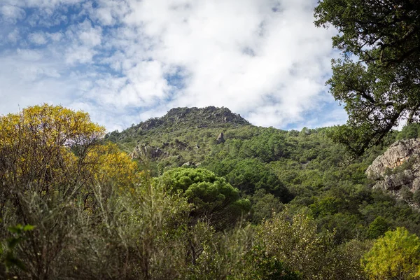 Una Hermosa Vista Otoño Una Montaña — Foto de Stock