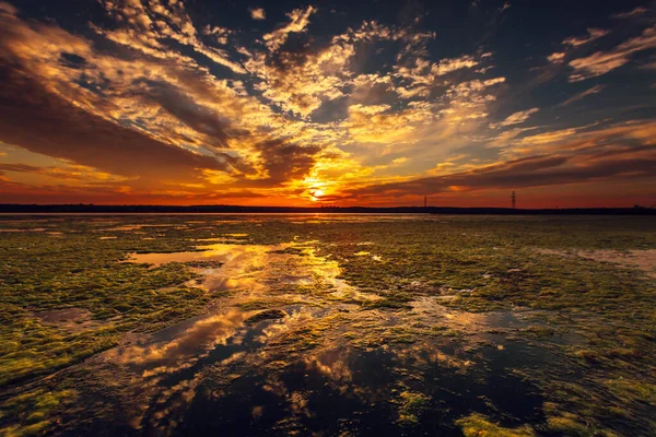 Ein Malerischer Blick Auf Einen Hellen Sonnenuntergang Kurischen Haff Litauen — Stockfoto