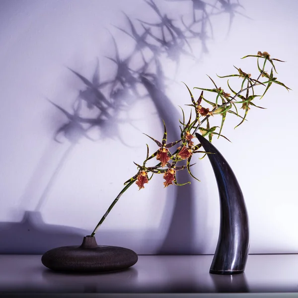 Eine Nahaufnahme Einer Orchideenblume Einer Abstrakten Vase Als Schöne Dekoration — Stockfoto