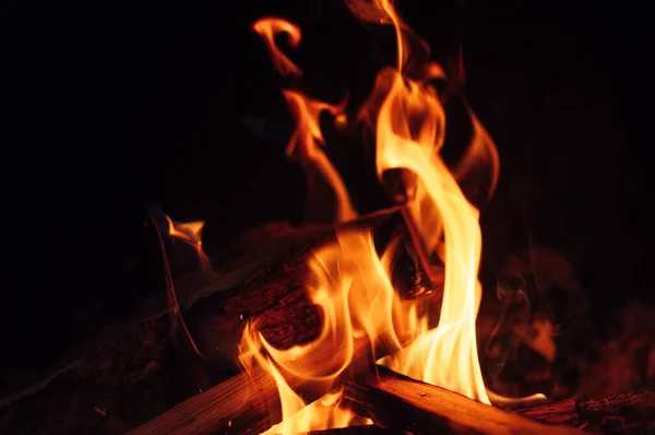 Karanlık Arka Planda Bir Yangının Yakın Çekimi — Stok fotoğraf