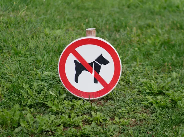 Una Ronda Roja Permiten Perros Letrero Pegado Pequeño Poste Madera —  Fotos de Stock