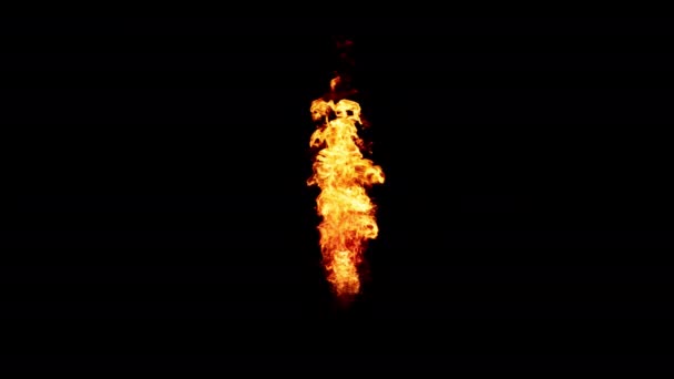 燃えさかる炎のショット — ストック動画