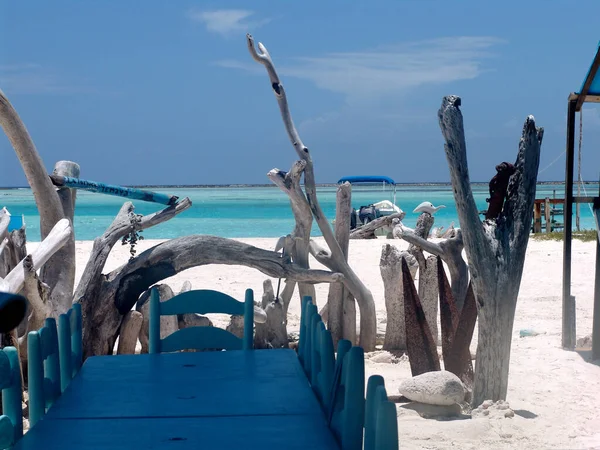 Widok Niebieski Stół Krzesła Suchymi Pniami Drzew Białym Piasku Plaży — Zdjęcie stockowe