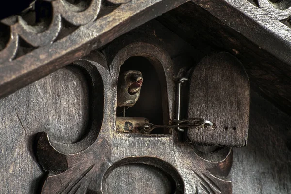 Kukułka Wewnątrz Drewnianego Zabytkowego Zegara — Zdjęcie stockowe