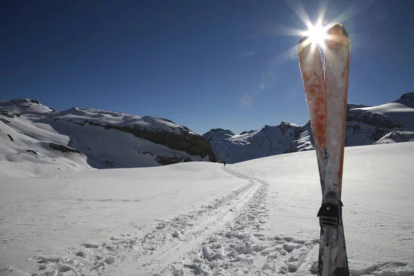 Een Paar Ski Sneeuw Zwitserse Alpen — Stockfoto