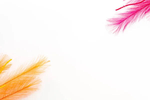View Yellow Pink Feathers White Background Space Your Text — Stock Photo, Image