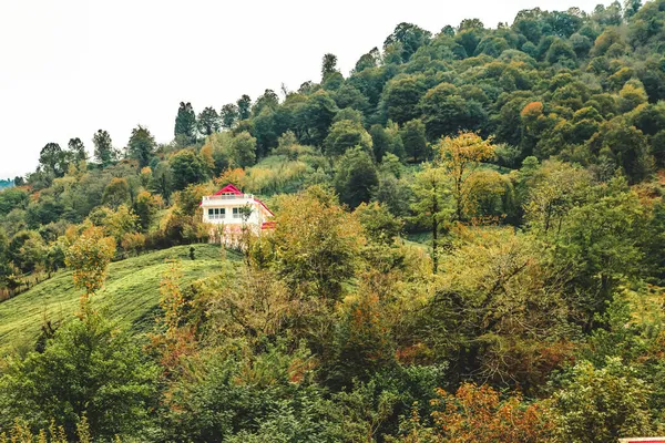 Una Vista Panorámica Del Campo Una Casa Rural Rodeada Árboles — Foto de Stock