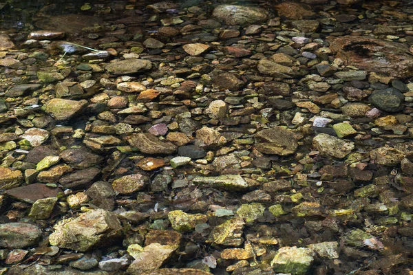 Ein Schuss Von Einem Seichten Fluss — Stockfoto