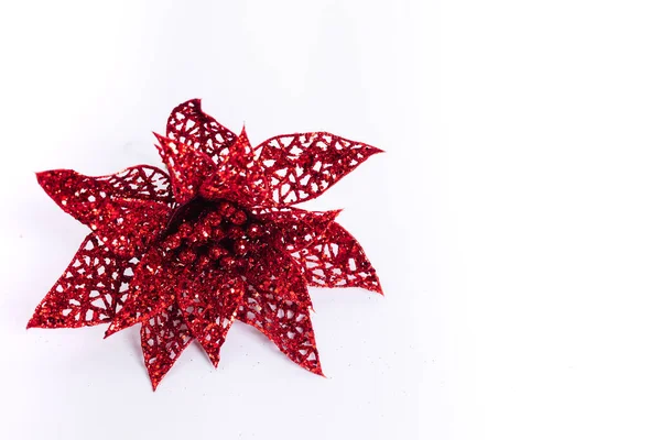 Een Voorgrond Shot Van Een Rode Kerst Poinsetti Bloem Decoratie — Stockfoto
