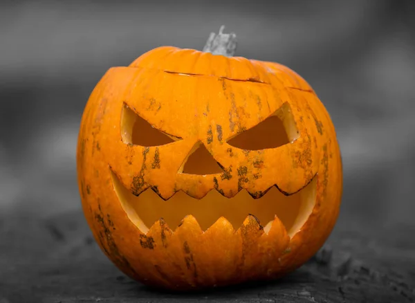 Прекрасный Снимок Резной Тыквы Фоне Серого Цвета Готов Хэллоуину — стоковое фото