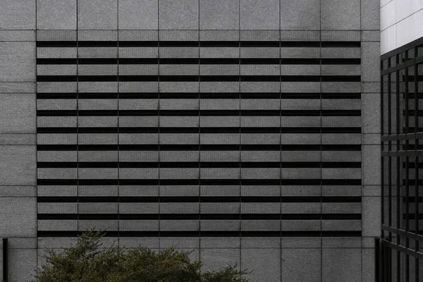 Grayscale View Concrete Facade Windows High Modern Building Light Sky — Stock Photo, Image