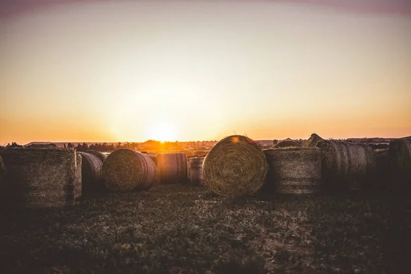 Alguns Rolos Feno Campo Agrícola Pôr Sol — Fotografia de Stock