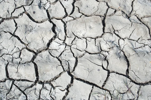 夏の干ばつの間に裂けて砕けた地球の閉鎖 — ストック写真
