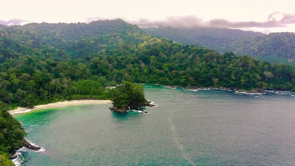 Una Vista Del Paisaje Una Playa Bosque Bajo Cielo Nublado — Foto de Stock