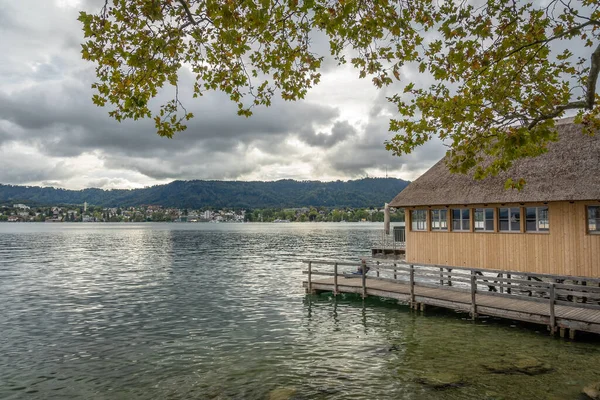 美しい自然を背景にした木造の湖畔小屋 チューリッヒ湖 — ストック写真