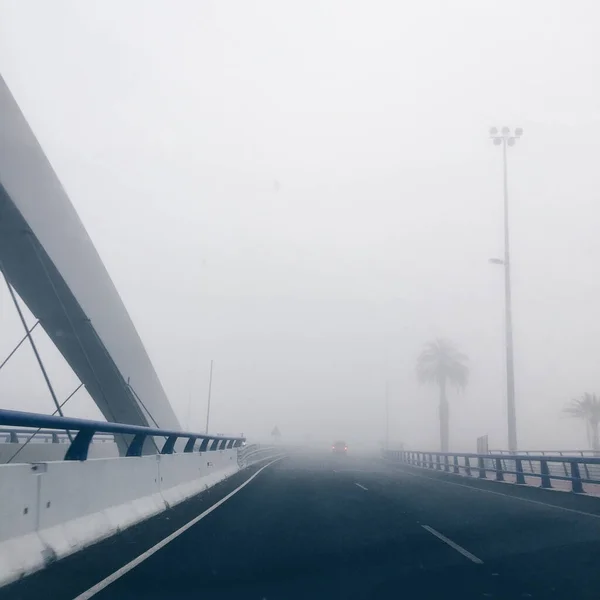 Těžký Smog Silnici Bariérami Palmami — Stock fotografie