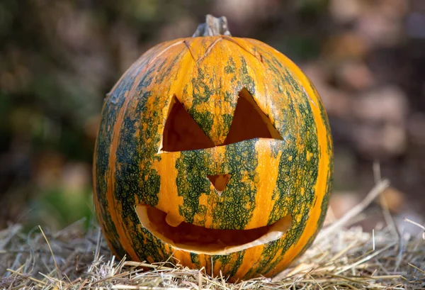 Egy Gyönyörű Kép Egy Faragott Tökről Készen Áll Halloweenre — Stock Fotó