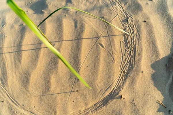Uma Vista Superior Uma Grama Verde Desenhando Círculos Areia Pôr — Fotografia de Stock