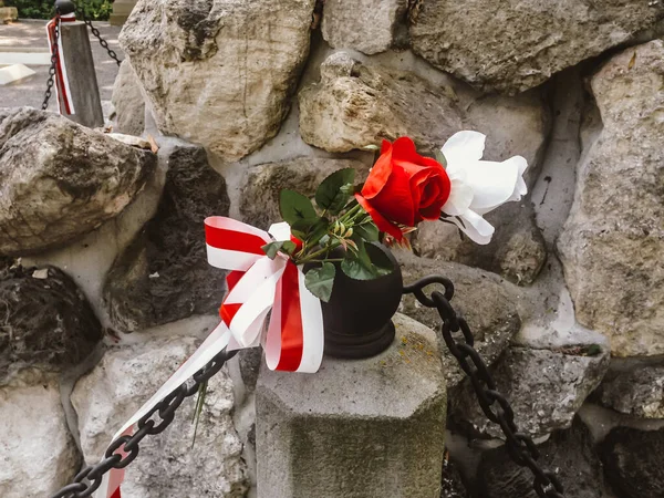 Primer Plano Flores Blancas Rojas Monumento — Foto de Stock