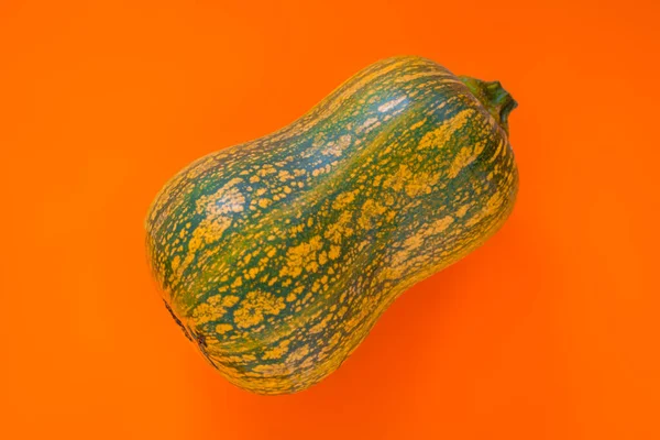 在橙色背景上的绿色南瓜特写镜头 — 图库照片