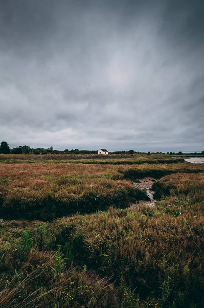 Bulutlu Bir Günde Kırsal Alanda Geniş Bir Çayır — Stok fotoğraf