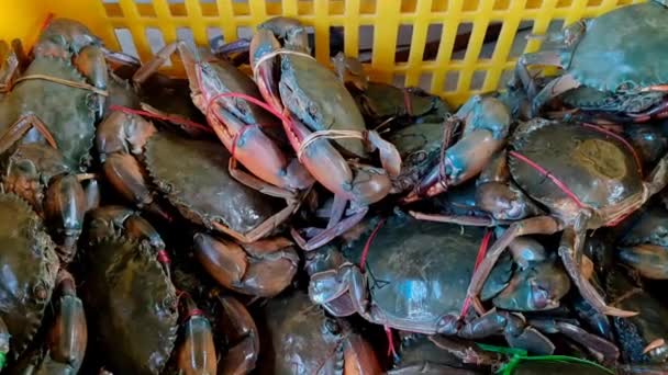 Seafood Segar Pasar — Stok Video