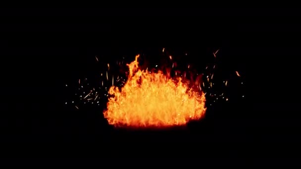 Flammes Feu Sur Fond Noir — Video