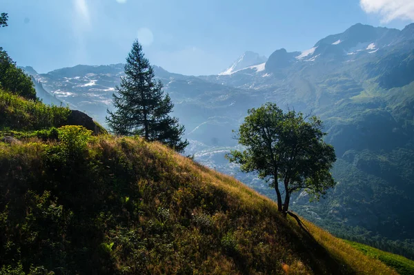 Táj Kilátás Hegyek Erdők Chamonix Franciaország — Stock Fotó