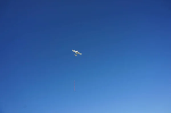 Low Angle Shot Flying Aircraft Aginst Blue Sky — 스톡 사진